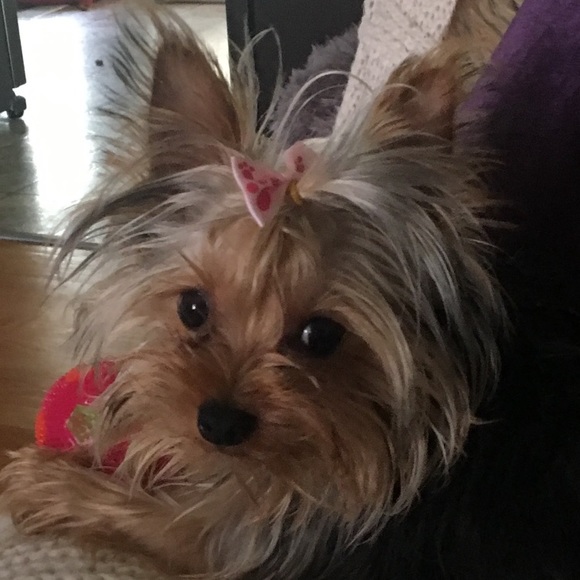 Meet your Posher, Melisa - Picture 1 of 1